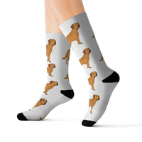 Chesapeake Bay Retriever Sublimation Socks, 3 Sizes, Polyester/Spandex, Cushioned Bottoms, FREE Shipping, Made in USA!!