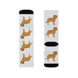 Chesapeake Bay Retriever Sublimation Socks, 3 Sizes, Polyester/Spandex, Cushioned Bottoms, FREE Shipping, Made in USA!!