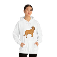 Chesapeake Bay Retriever Unisex Heavy Blend Hooded Sweatshirt, S - 5XL, 12 Colors, Cotton/Polyester, FREE Shipping, Made in Usa!!