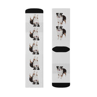 Miniature American Shepherd Sublimation Socks, 3 Sizes, Polyester & Spandex, Ribbed Tube, Cushioned Bottoms, FREE Shipping, Made in USA!!