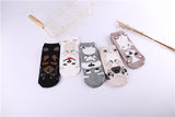 Dog Ankle Socks Women, Animal,  Friend, Pug, Corgi, Rottweiler, Schnauzer, Samoyed Dog, Pet SOX for Elder Children or Adult, unisex sokken