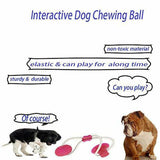 Dog Chew Toy, Multifunction, Cleans Teeth Safely, Soft Elasticity for Dog, Puppy