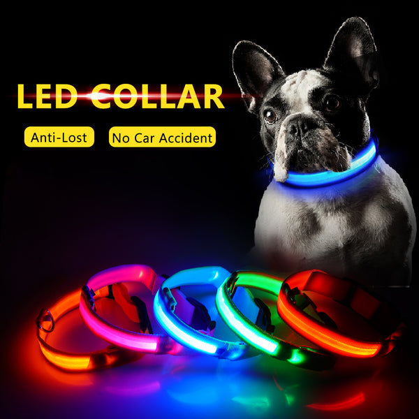 LED Dog Collar, USB Charging,  Anti-Lost/Avoid Car Accident Collar For Dogs, Puppies, LED Supplies, Pet Products