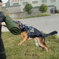 Dog Training Agility Equipment, Pet Bite, Tug, Jute, Bite Sleeve For Training Police K9, Young Malinois, German Shepherd, Rottweiler
